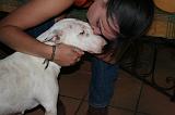 ADULTE ET CHIEN 395